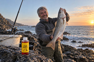 Corvina en la costa