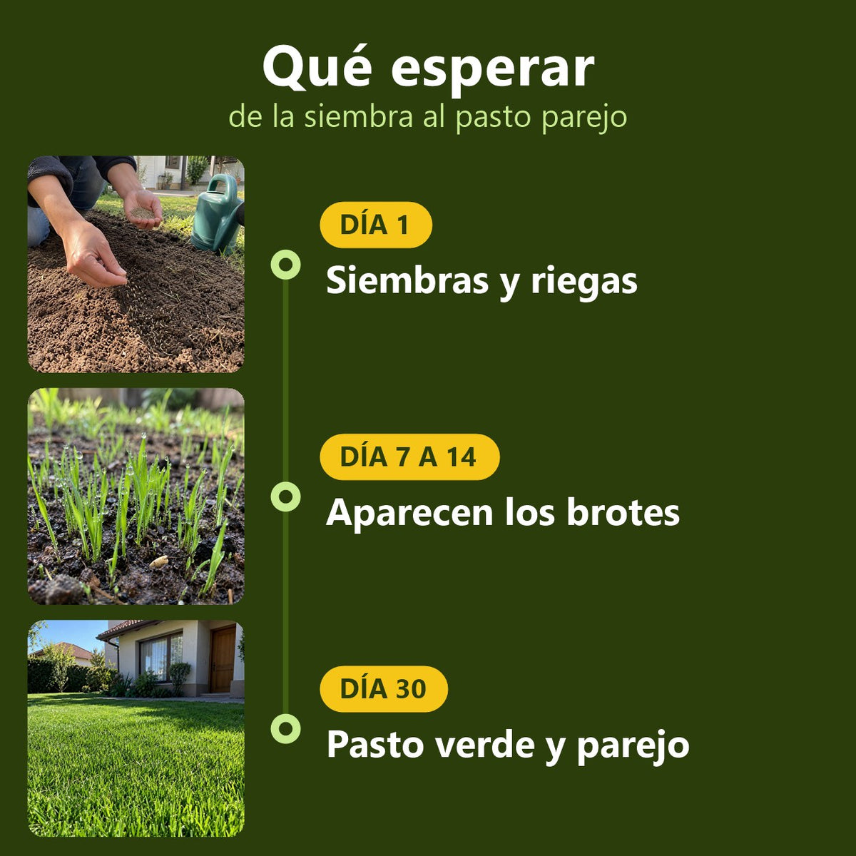 Qué esperar: día 1, día 7 a 14 y día 30