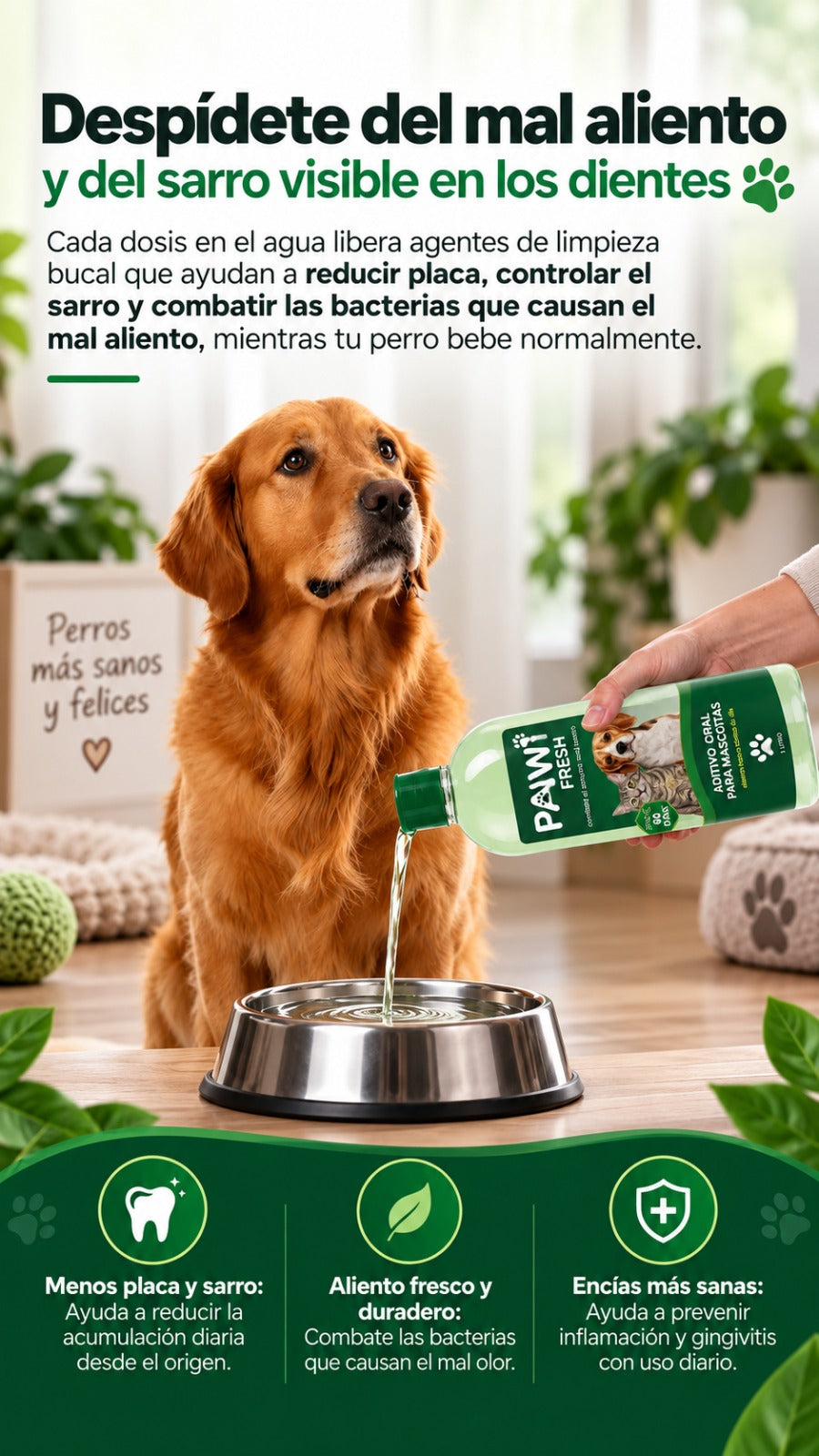 PAWI Fresh - despídete del mal aliento y del sarro visible