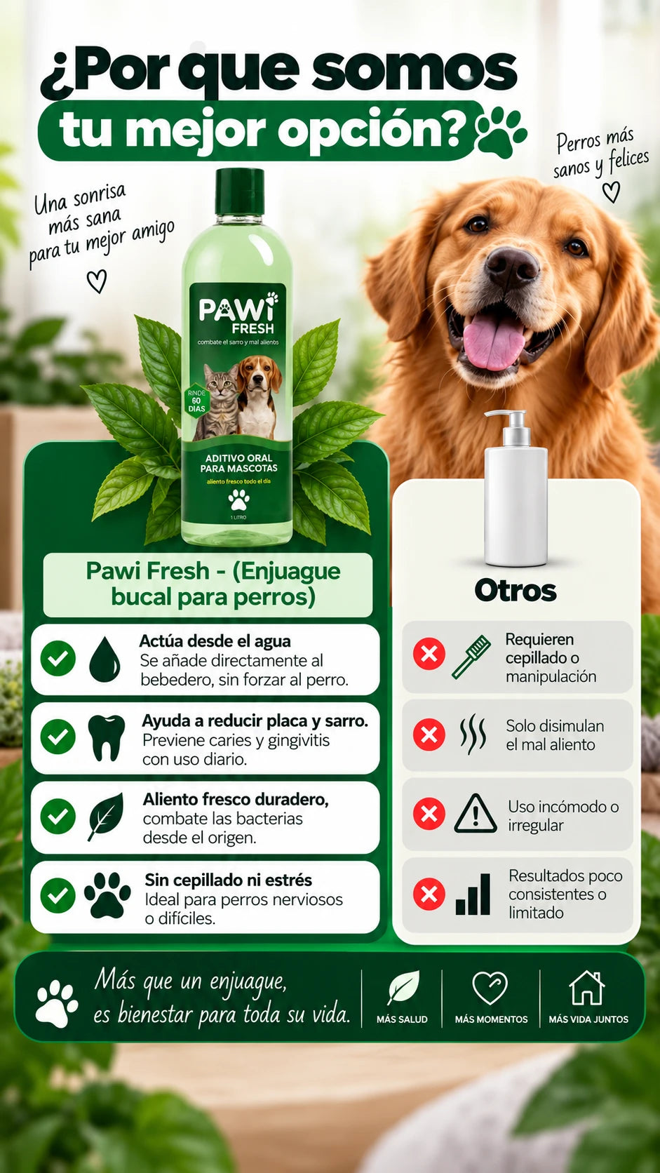 PAWI Fresh - por qué somos tu mejor opción