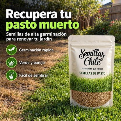 Semillas de cÃ©sped: recupera tu pasto muerto