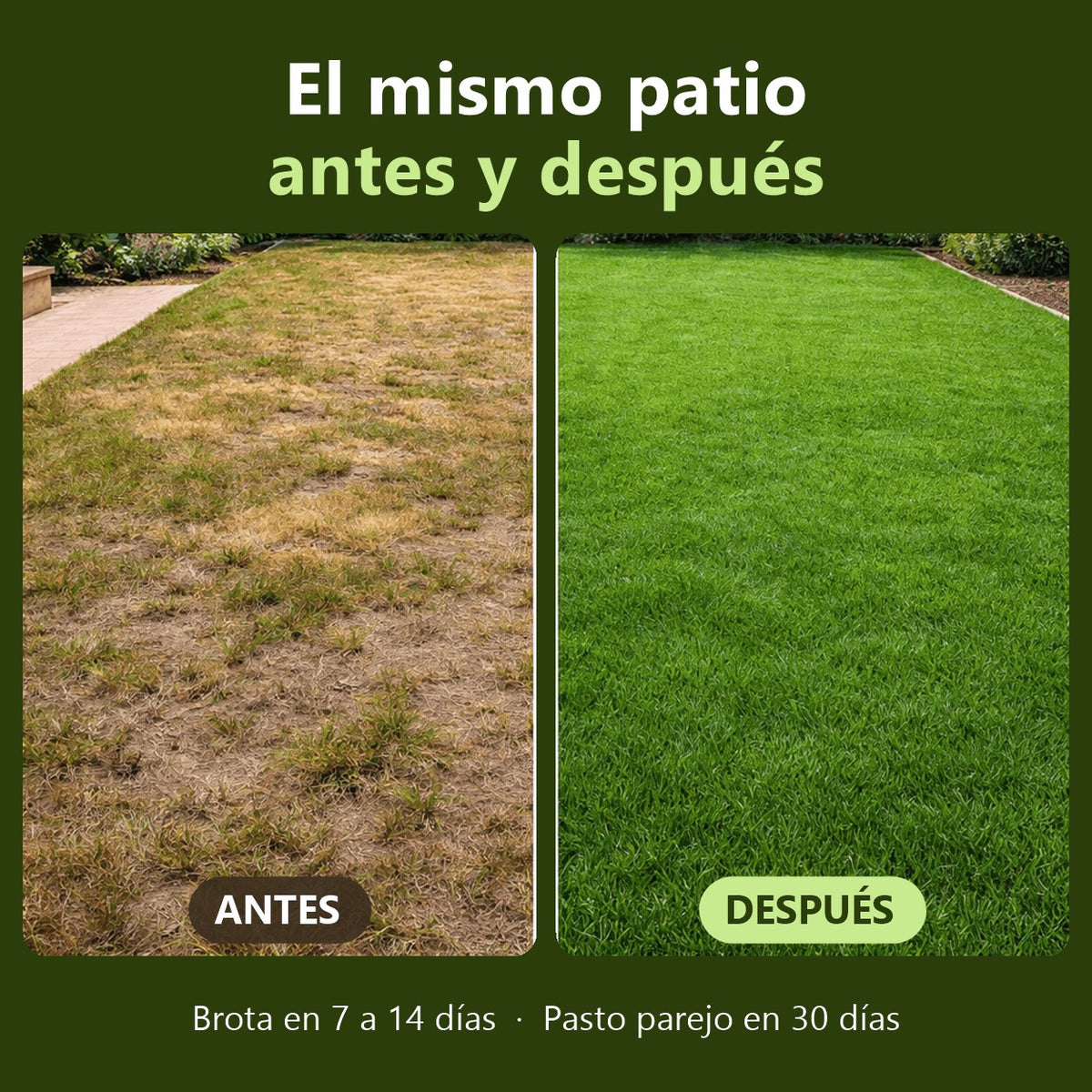 Antes y después del pasto