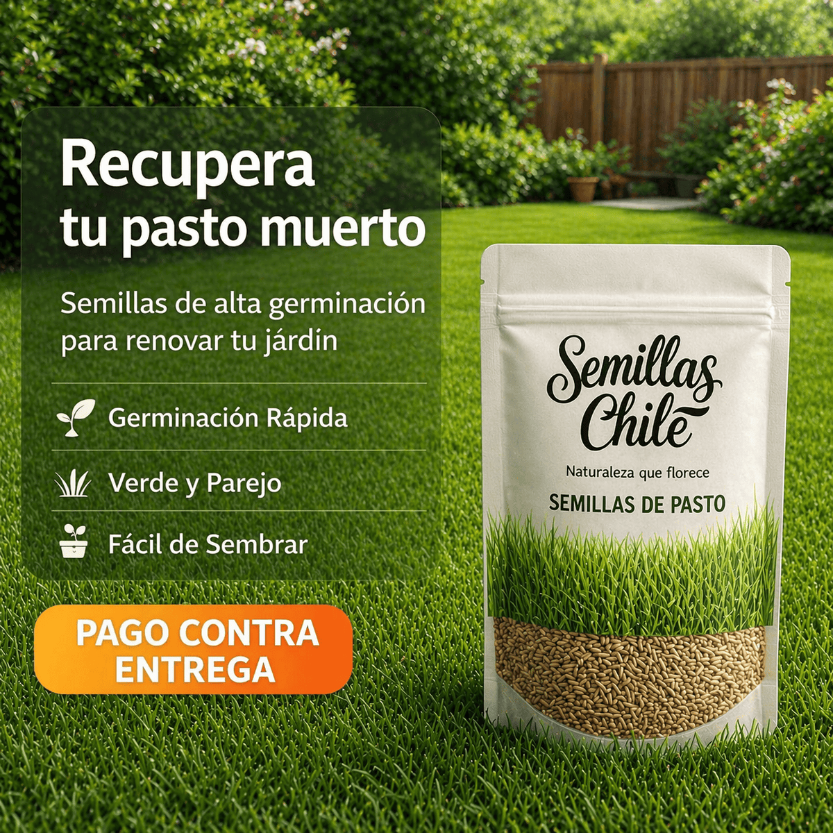Semillas de Césped Autoreparable