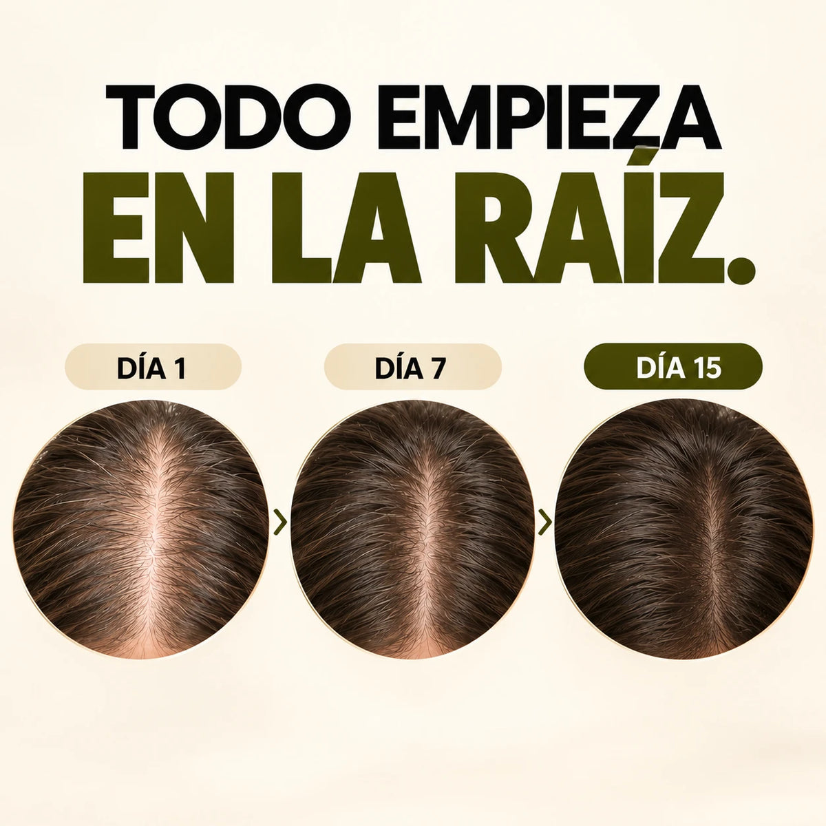 Todo empieza en la raíz: día 1, día 7 y día 15